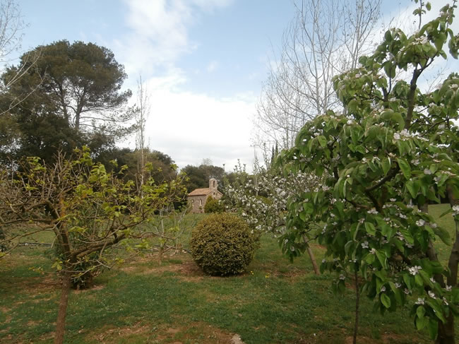 Festa-40-aniv-ResidC3A8ncia-AssC3ADs-18