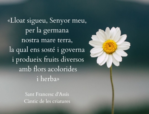 Frase de Sant Francesc