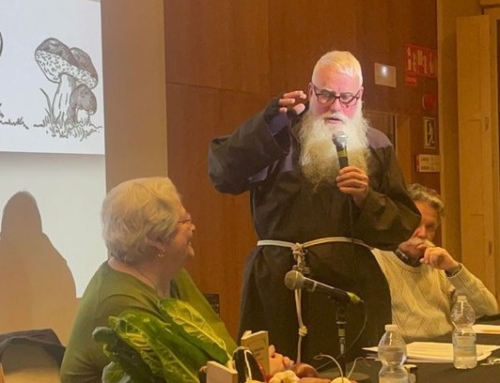 Entrevista a fra Valentí