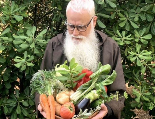 “La cuina vegetariana de sempre”