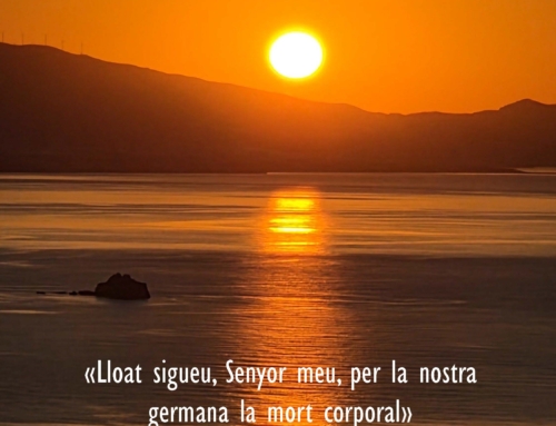 Frase Sant Francesc